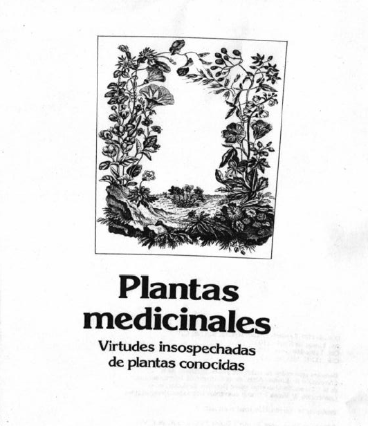 falta imagen o posible error de conexión